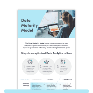 Data Maturity Model Infographic Preview Image