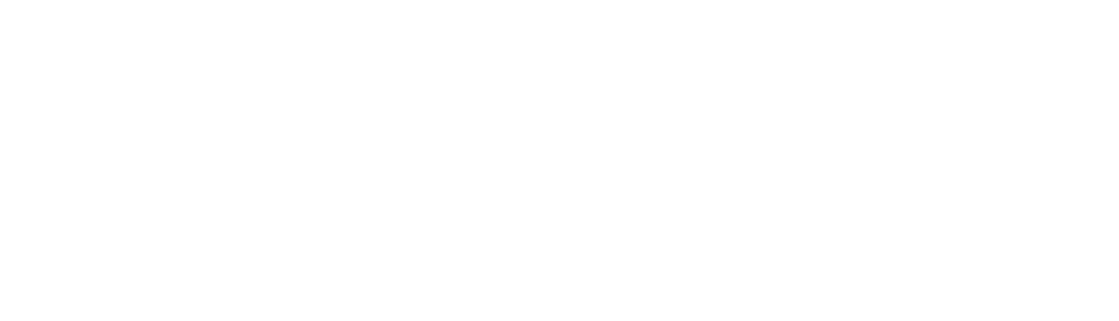 Builders FirstSource Logo