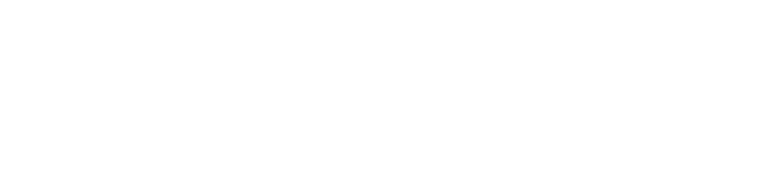 Microsoft solutions partner white